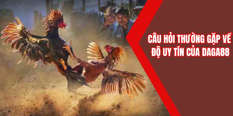 Câu hỏi thường gặp Daga88 về độ uy tín của sân chơi