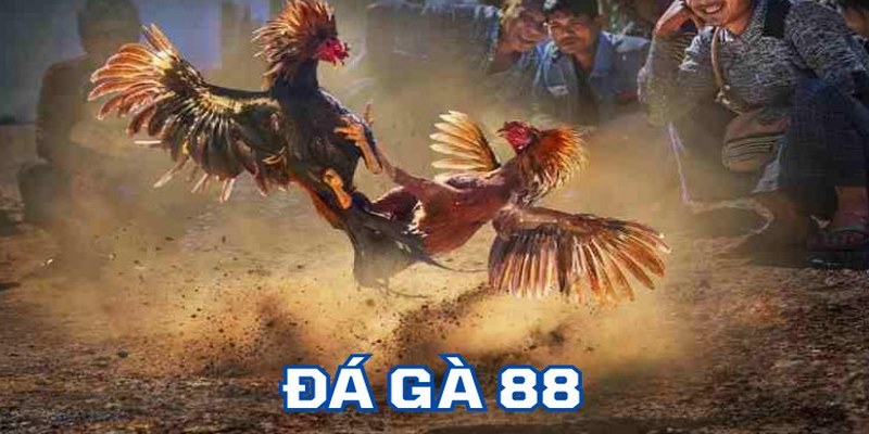 Đánh giá một số ưu điểm vượt trội của sân chơi nổi tiếng