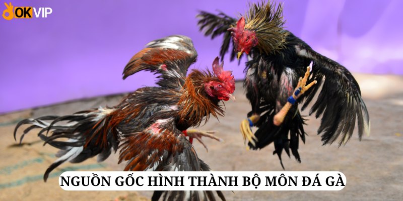 Nguồn gốc hình thành của bộ môn giải trí dân gian