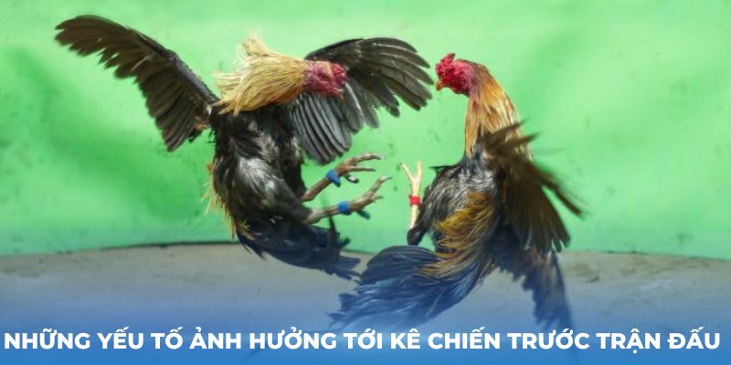 Những yếu tố ảnh hưởng tới kê chiến trước trận đấu