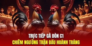 truc tiếp gà đòn c1 tại daga88