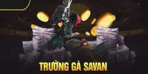 daga88 review trường gà savan